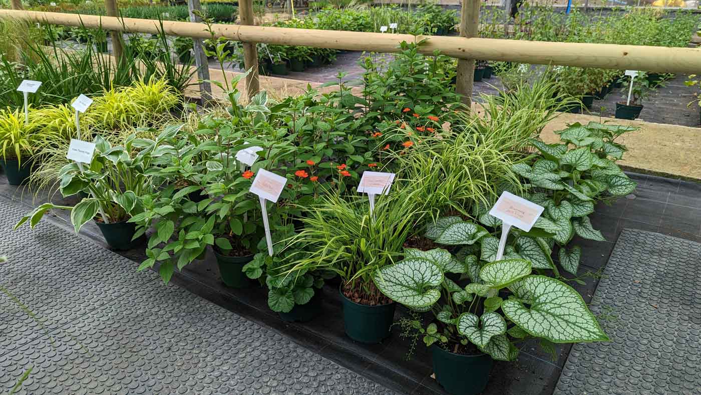 Dawlish Gardens Trust plant shop range