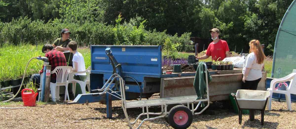 Employability Pathway Dawlish Gardens Trust