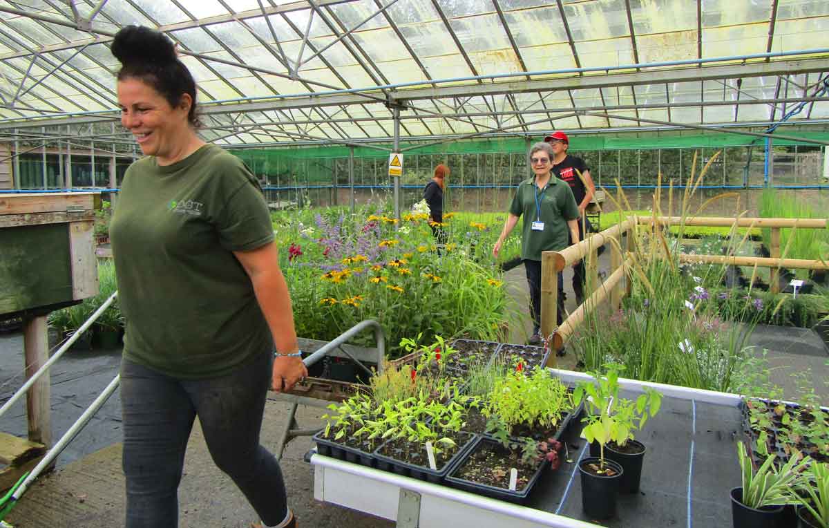 Plant shop at Dawlish Gardens Trust