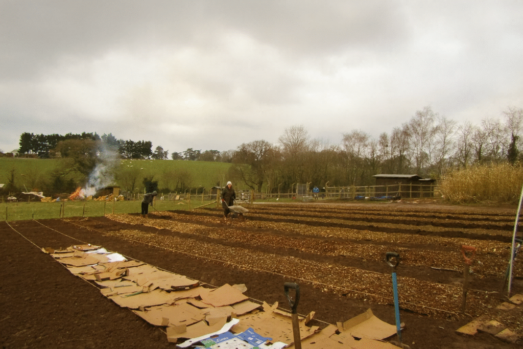 The no-dig beds at Dawlish Gardens Trust