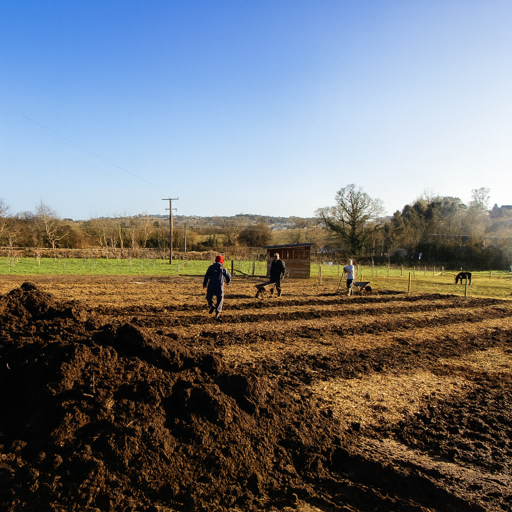 The no-dig beds at Dawlish Gardens Trust field